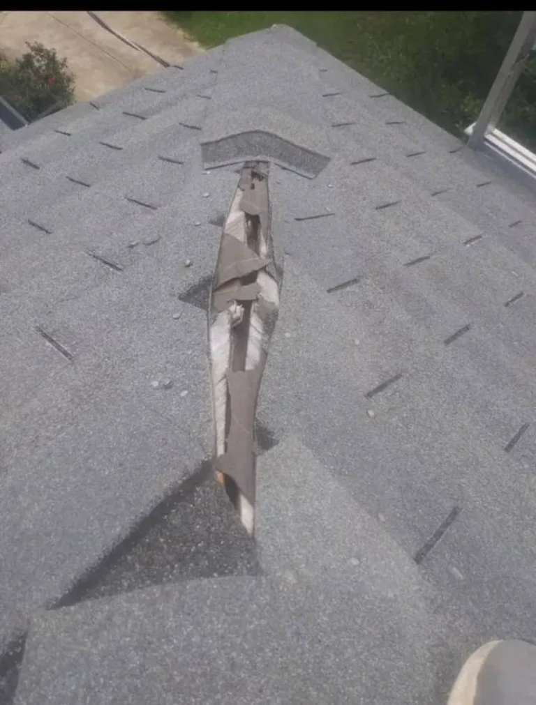 Is a Roof Maintenance Program Worth It, or Just Get Inspected When Something’s Wrong?